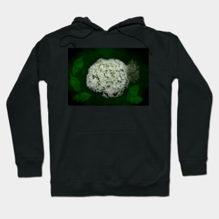 Hydrangea Digital Art Hoodie